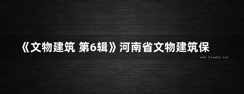 《文物建筑 第6辑》河南省文物建筑保护研究院